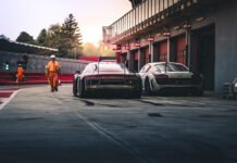 Thousands of Florida greyhounds will need homes after ban